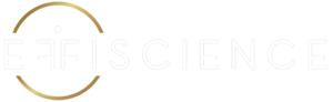 EffiScience Paris